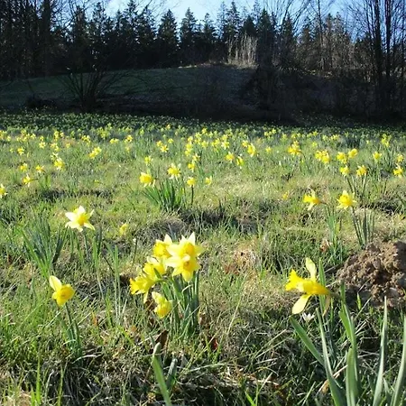 Hébergement de vacances Zum Vennbiber