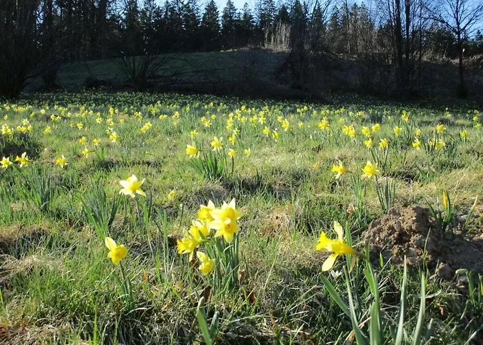 Feriehus Zum Vennbiber